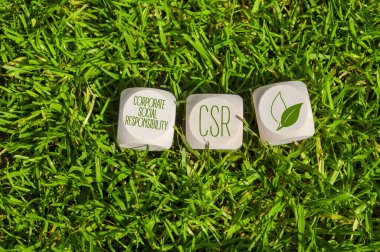 Yeşil çimenlerde CSR Kurumsal Sorumluluk kısaltması olan küp veya zar