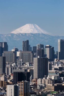Tokyo şehir manzaralı, Tokyo şehir bina ve Tokyo tower landmark dağ Fuji ile açık bir günde. Japonya ve onun 47 iller birini başkenti Tokyo metropol olduğunu.