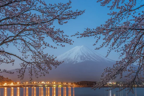 Vista Nocturna Sakura Flor Cerezo Monte Fuji Lago Kawaguchiko Japón —  Fotos de Stock