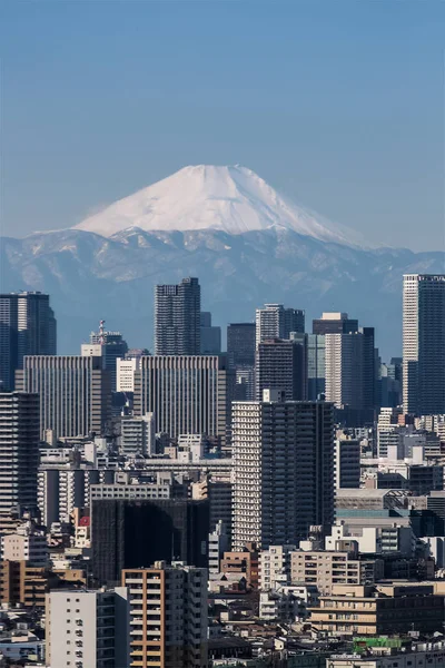 Tokyo City View Tokyo Downtown Building Tokyo Tower Landmark Con — Foto de Stock