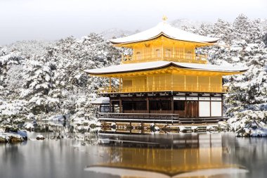 Zen Tapınağı Kinkakuji (altın Pavilion) kar ile sonbahar kış 2017. Kinkakuji Kyotos önde gelen tapınaklar ve tanınan Unesco tarafından Dünya Kültür Mirası biridir