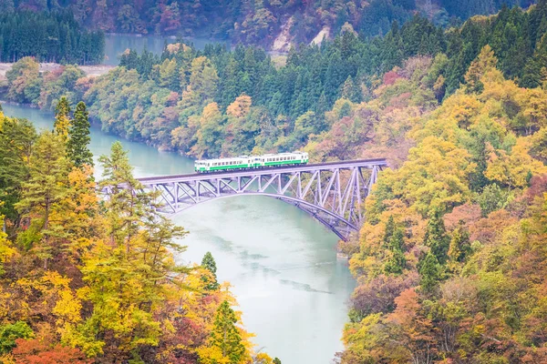秋の福島県三島町の只見線 — ストック写真