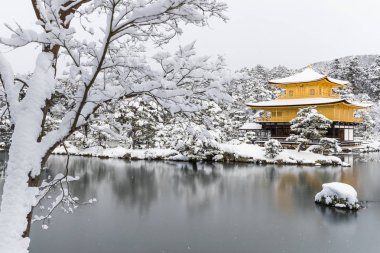 Zen Tapınağı (altın Pavilion) kar ile Sonbahar Kış 2017. önde gelen Tapınak ve tanınan Unesco tarafından dünya kültür mirası biridir 
