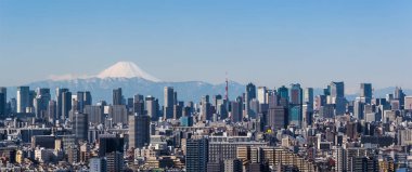 Tokyo şehir manzaralı, Tokyo şehir bina ve Tokyo tower landmark dağ Fuji ile açık bir günde. Japonya ve onun 47 iller birini başkenti Tokyo metropol olduğunu.
