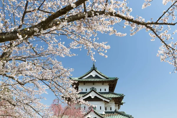 Hirosaki Castle Sakura Cherry Blossom Tree Spring Hirosaki Castle Tower — Stock Photo, Image