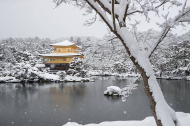 Zen Tapınağı Kinkakuji (altın Pavilion) kar ile sonbahar kış 2017. Kinkakuji Kyotos önde gelen tapınaklar ve tanınan Unesco tarafından Dünya Kültür Mirası biridir 