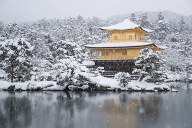 Zen Tapınağı Kinkakuji (altın Pavilion) kar ile sonbahar kış 2017. Kinkakuji Kyotos önde gelen tapınaklar ve tanınan Unesco tarafından Dünya Kültür Mirası biridir 