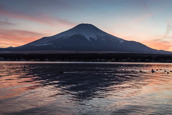 Vue Sur Mont Fuji Lac Yamanakako Soirée Hiver Lac Yamanakako — Photo