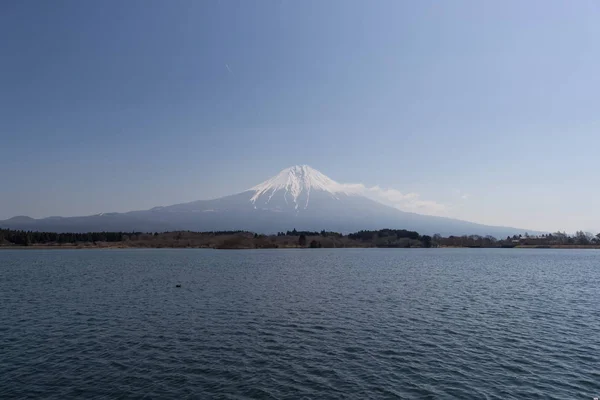 春季富士山与狸猫湖 — 图库照片