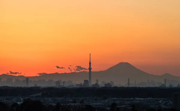 美しい東京の日没風景 東京スカイツリー ランドマーク玄関富士冬の日没 — ストック写真