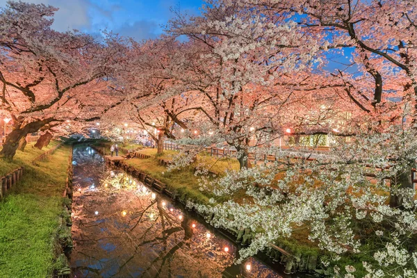 Japonês Sakura Cereja Flor Com Pequeno Canal Estação Primavera — Fotografia de Stock