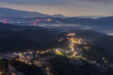Yoshinoyama sakura kiraz ağaçları çiçek akşam