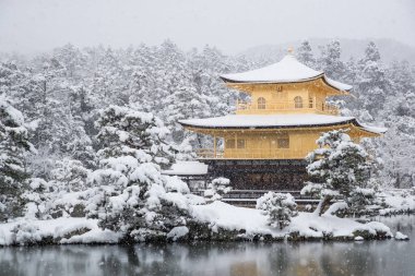 Zen Tapınağı Kinkakuji kış sezonunda düşen kar ile