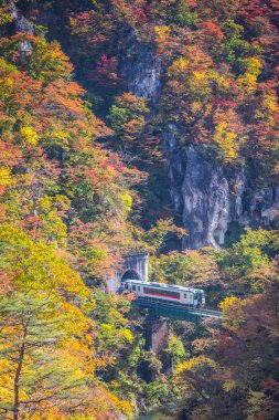Rikuu satırında değil gorge sonbahar sezonu