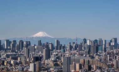 Tokyo tower landmark Fuji Dağı ile gün temizleyin