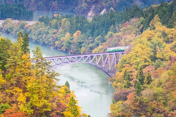 Tadami Satır Mishima Şehir Sonbahar Sezonu Tren Ile — Stok fotoğraf