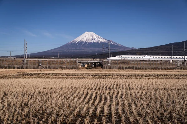Japan Shizuoka Juli 2017 Shinkansen Bullet Tåg Och Berget Fuji — Stockfoto