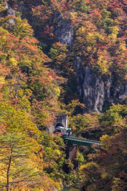 Rikuu satırında değil gorge Güz