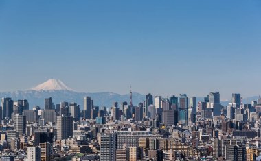 Tokyo şehir bina ve açık gün dağ Fuji ile Tokyo Kulesi'ne 
