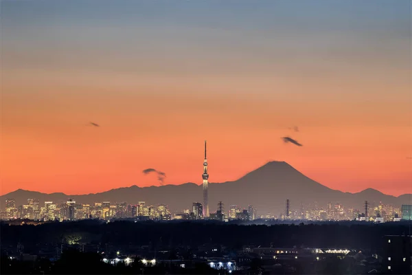 Tokyo Şehir Tokyo Skytree Dağ Fuji Alanıyla Kış Sezonunda Bina — Stok fotoğraf