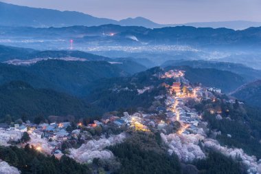 Yoshinoyama sakura kiraz çiçeği ile ışık, Mount Yoshino Nara Prefecture 