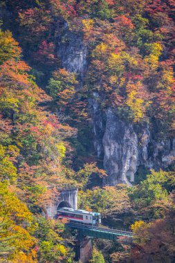 Rikuu satırında değil gorge Güz