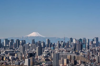 Tokyo şehir bina ve açık gün dağ Fuji ile Tokyo Kulesi'ne 