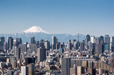 Tokyo şehir bina ve açık gün dağ Fuji ile Tokyo Kulesi'ne 