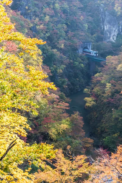 Rikuu satırında değil gorge Güz