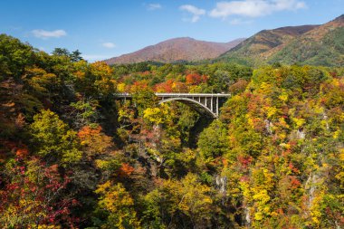 Kuzey-Batı miyagi Prefecture değil gorge görünümünü