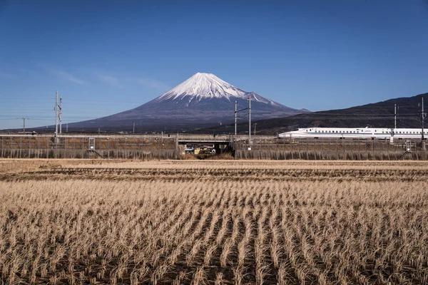 Shizuoka, Japonya - 12 Ocak 2017: Shinkansen hızlı tren ve dağ Fuji