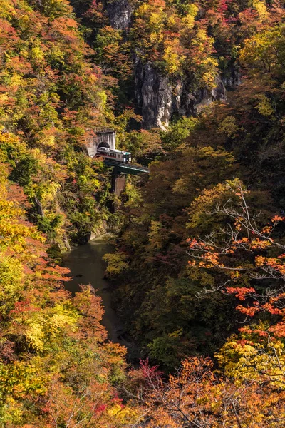 Дизельный Поезд Ущелье Рикуу Осенью Наруко — стоковое фото