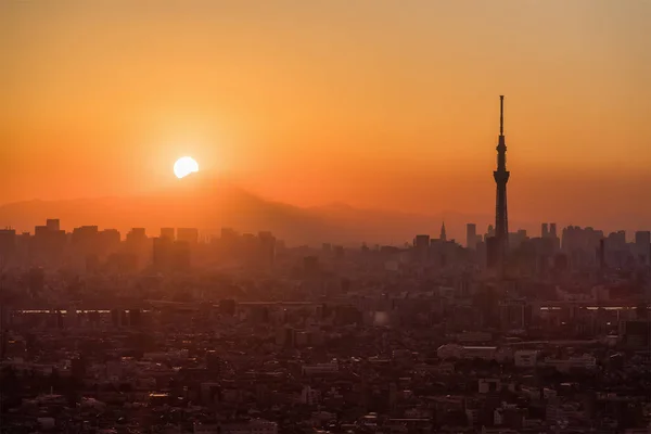 Splendido Paesaggio Urbano Tokyo Con Tokyo Skytree Mountian Fuji Tramonto — Foto Stock