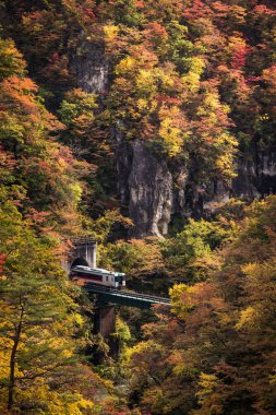 Rikuu satırında değil gorge Güz