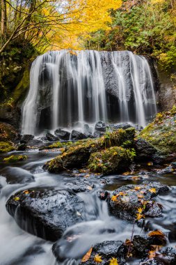 Tatsuzawafudo Falls adlı Fukushima Güz