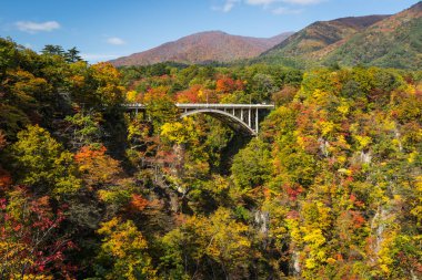Değil Gorge, Kuzey-Batı Miyagi Prefecture bulunan Tohoku bölgedeki en doğal gorges