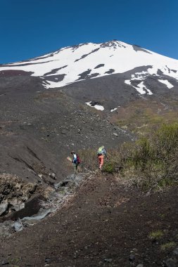 Mt.Fuji üst kar ve Mt.Fuji doğal eğlence orman iz bahar ile
