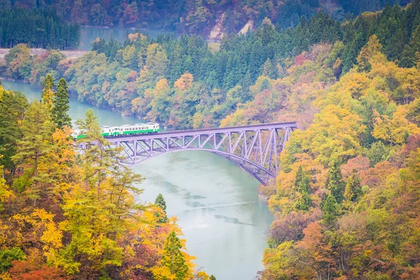 Tadami Line Mishima Town Fukushima Autumn — Stock Photo, Image