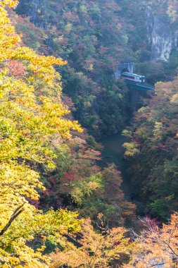 Rikuu satırında değil gorge Güz