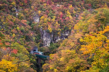 Rikuu line at Naruko gorge in autumn clipart