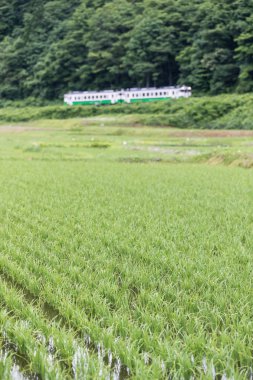 Pirinç alan ve yaz sezonu Tadami demiryolu hattı olarak Fukushima ili.