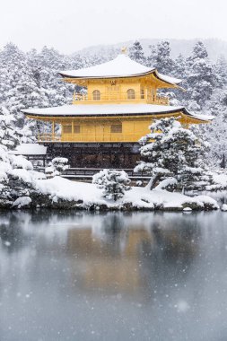 Zen Tapınağı Kinkakuji (altın Pavilion) kar ile sonbahar kış 2017. Kinkakuji Kyotos önde gelen tapınaklar ve tanınan Unesco tarafından Dünya Kültür Mirası biridir