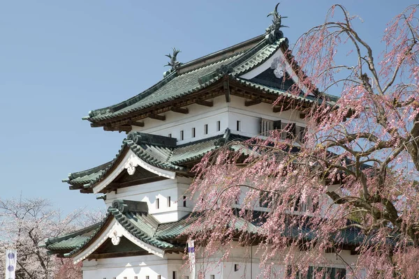 Castillo Hirosaki Árbol Flores Cerezo Sakura Primavera Torre Del Castillo — Foto de Stock