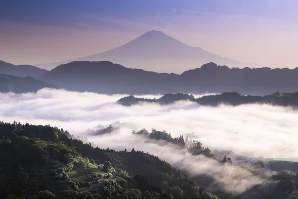 Monte Fuji Con Mar Niebla Primavera Matutina — Foto de Stock