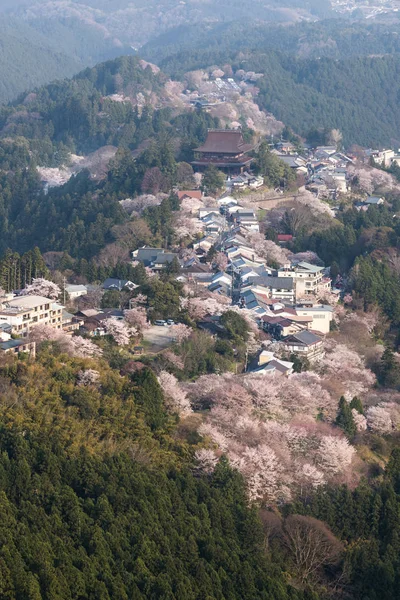 Yoshinoyama Sakura Cherry Blossom Hoře Jošino Nara Prefektura Japonsko Nejslavnější — Stock fotografie