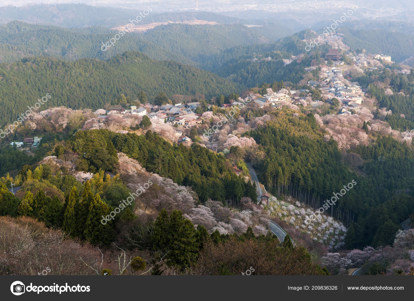Yoshinoyama Sakura Cherry Blossom Mount Yoshino Nara Prefecture Japan's
