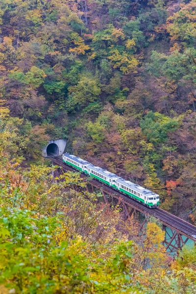 Línea Tadami Ciudad Mishima Fukushima Otoño — Foto de Stock