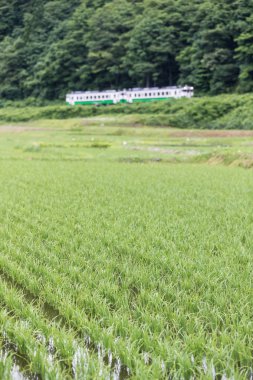 Pirinç alan ve yaz sezonu Tadami demiryolu hattı olarak Fukushima ili.
