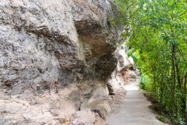 Yaz hiking trail Ubon Prefecture, Tayland.
