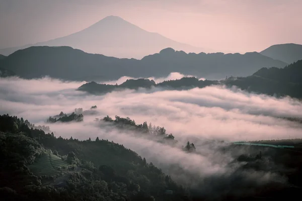 Фудзи Море Тумана Утром — стоковое фото